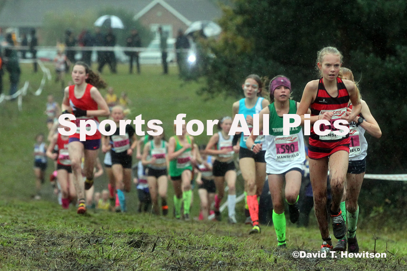 Girls under-13s, National Cross Country Relay Champs., Berry Hill Park, Mansfield.  Photo: David T. Hewitson/Sports for All Pics